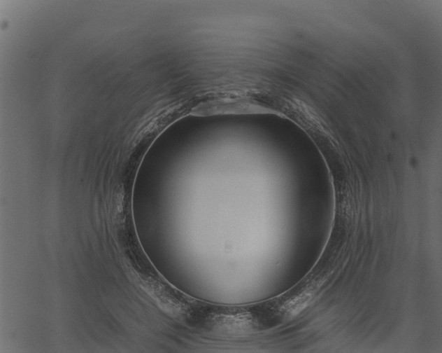 X0000066940548200603311420