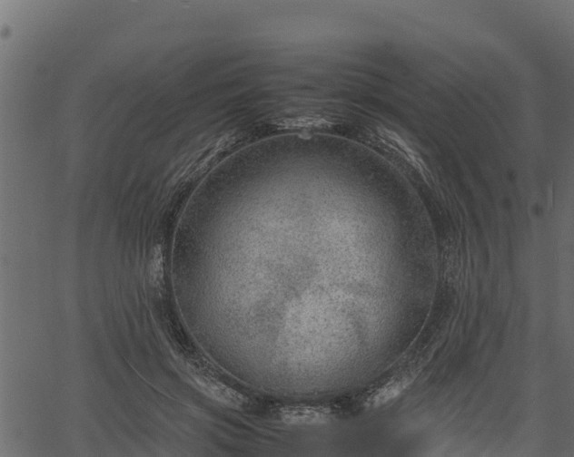 X0000066940549200603311420