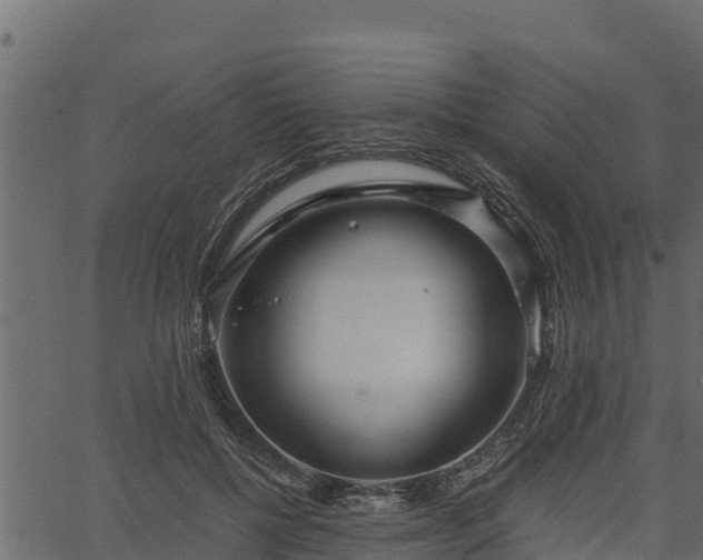 X0000066940552200603311420