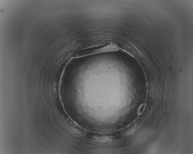 X0000066940553200603311420