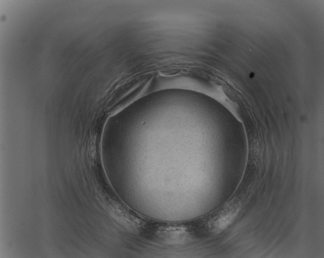 X0000066940554200603311420