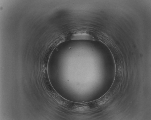 X0000066940555200603311420