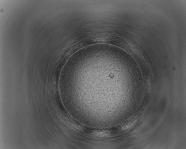 X0000066940557200603311420