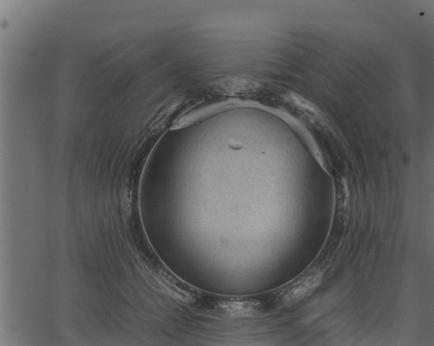 X0000066940558200603311420