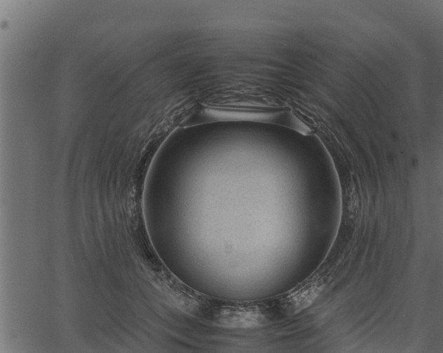 X0000066940559200603311420