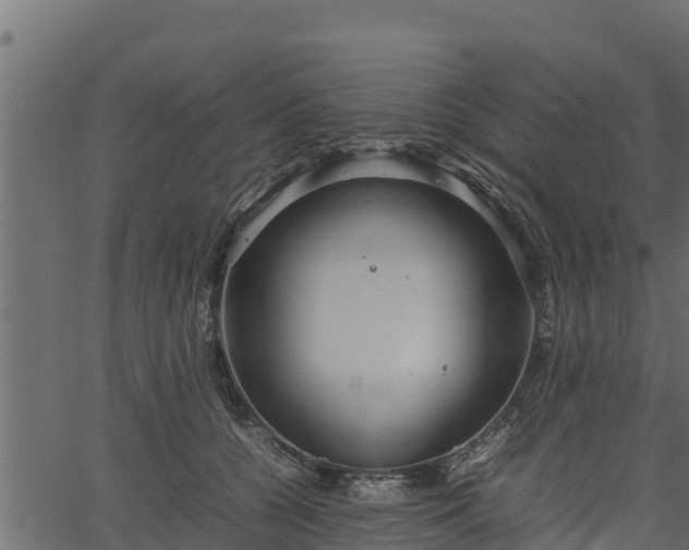 X0000066940560200603311420