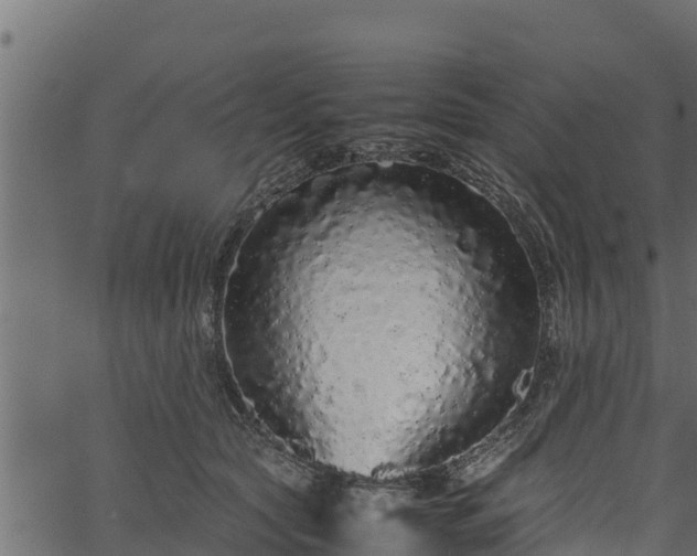 X0000066940561200603311420