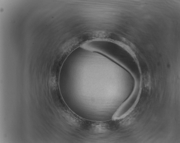 X0000066940564200603311420