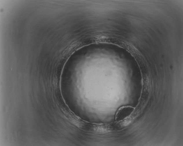 X0000066940565200603311420