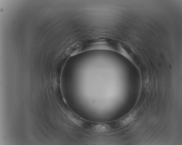 X0000066940566200603311420