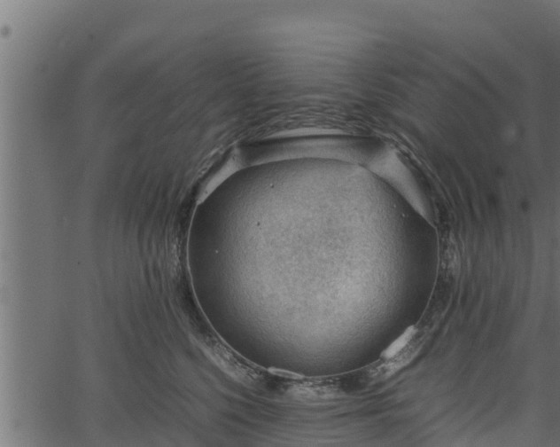 X0000066940568200603311420