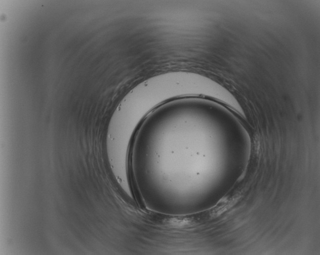 X0000066940570200603311420