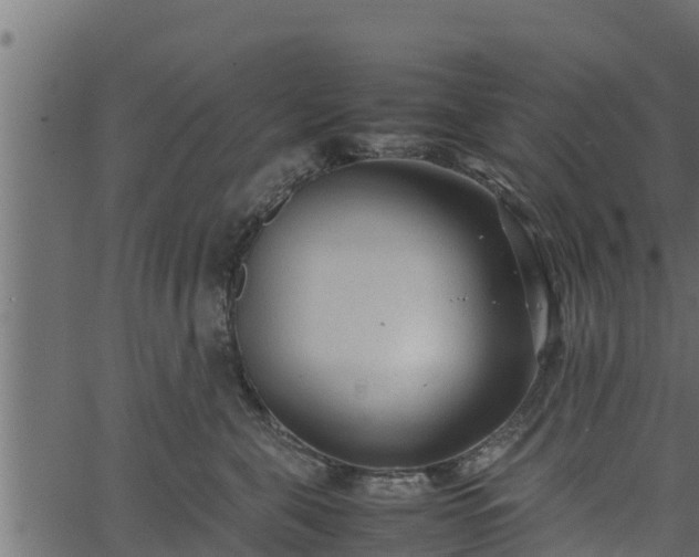 X0000066940571200603311420