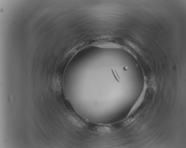 X0000066940572200603311420