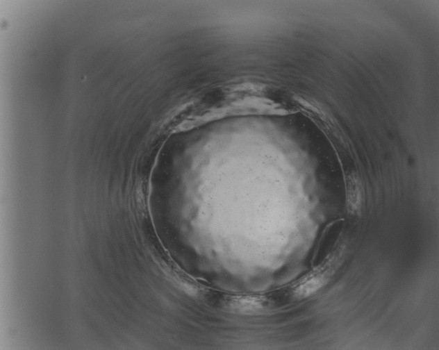 X0000066940573200603311420