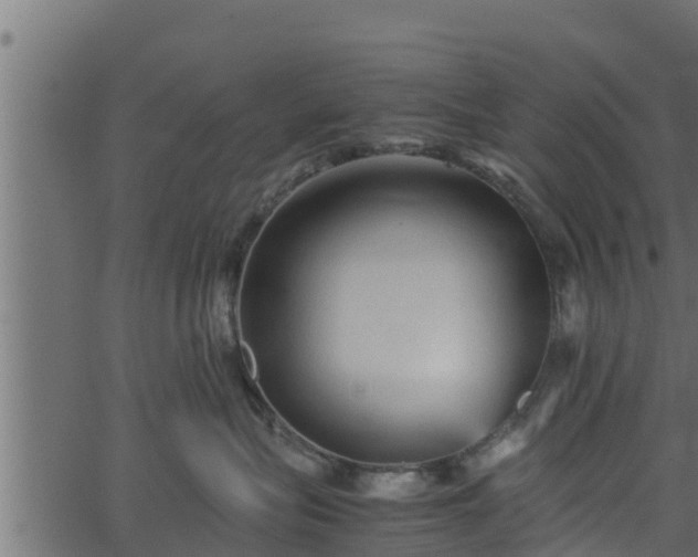 X0000066940575200603311420