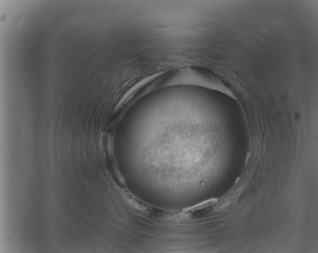 X0000066940576200603311420