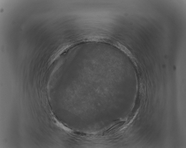 X0000066940577200603311419