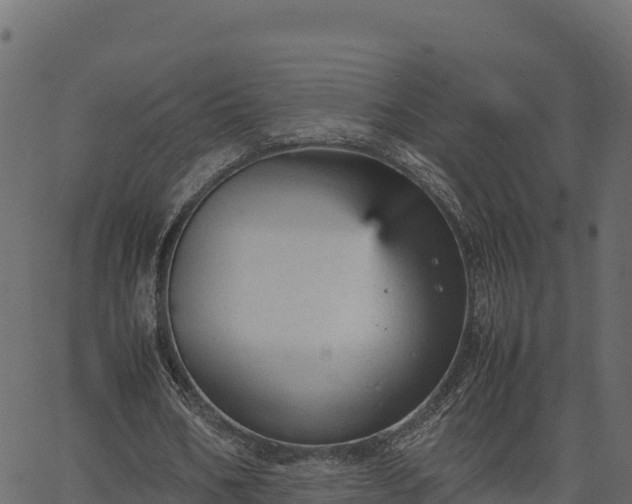 X0000066940578200603311419