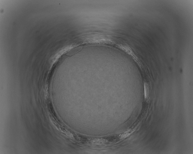 X0000066940579200603311419