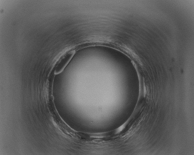 X0000066940580200603311419