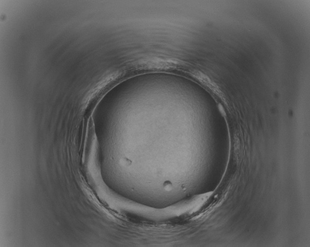 X0000066940581200603311419