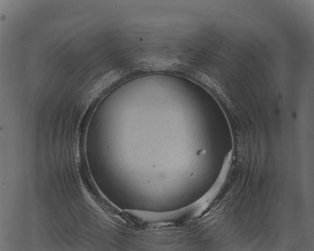 X0000066940582200603311419