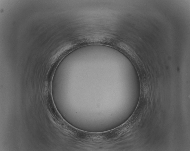 X0000066940583200603311419