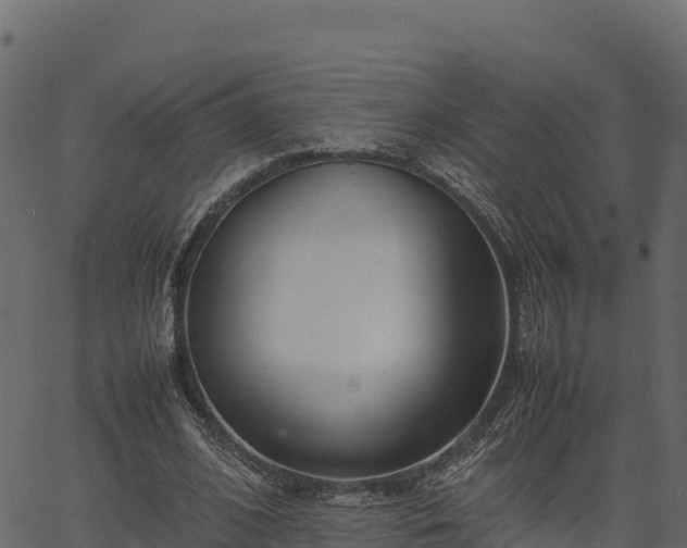 X0000066940584200603311419