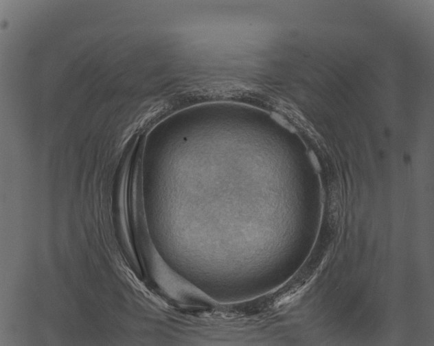 X0000066940585200603311419