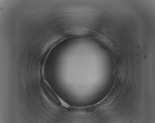 X0000066940586200603311419