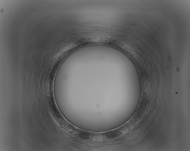 X0000066940587200603311419