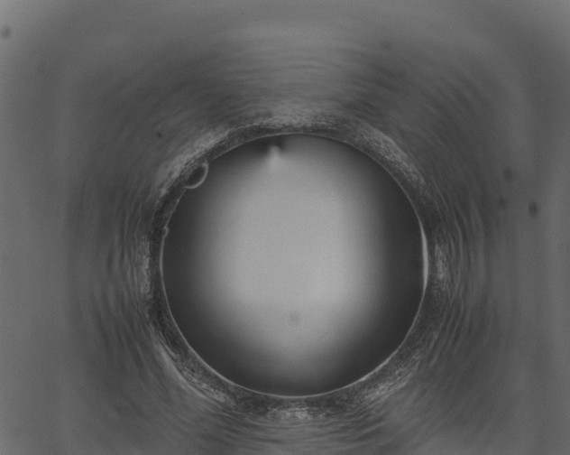 X0000066940588200603311419