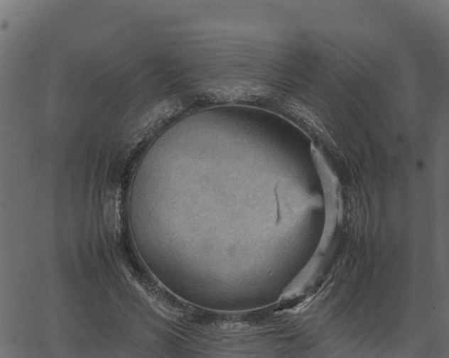 X0000066940590200603311419