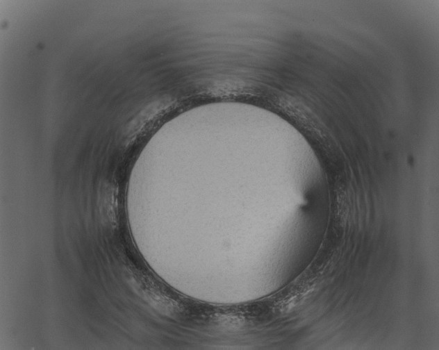 X0000066940592200603311419