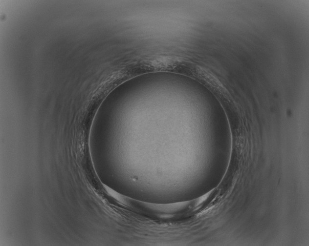 X0000066940593200603311419