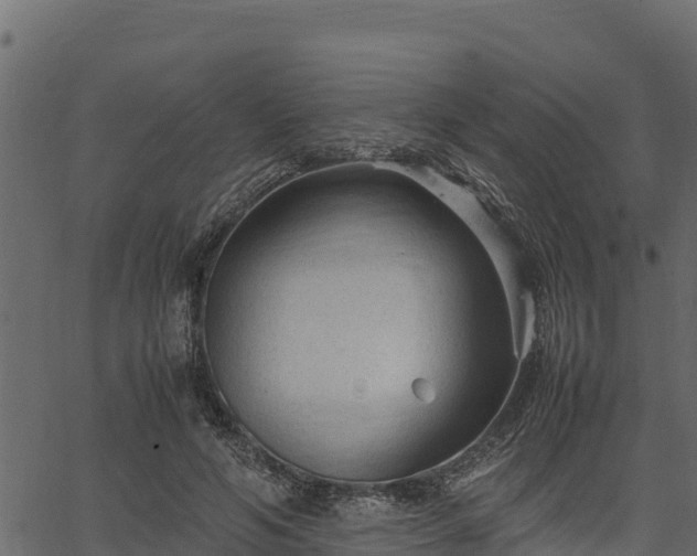 X0000066940594200603311419