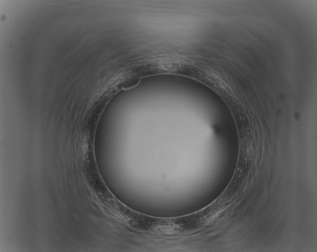 X0000066940595200603311419