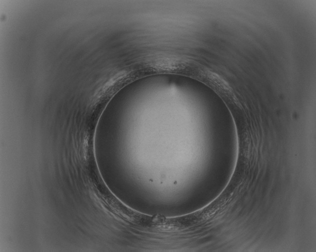 X0000066940596200603311419