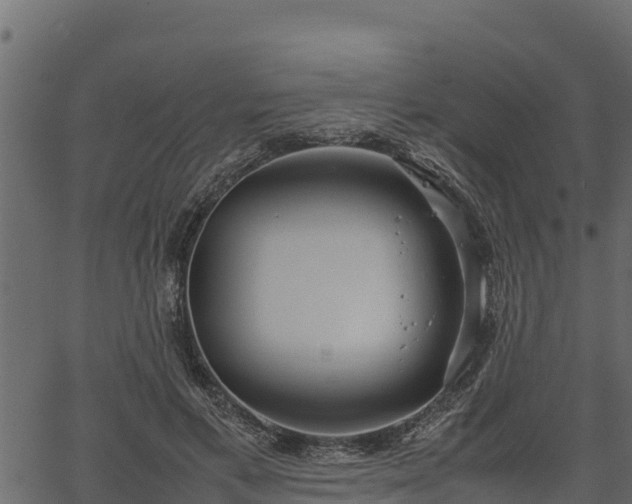 X0000066940597200603311419