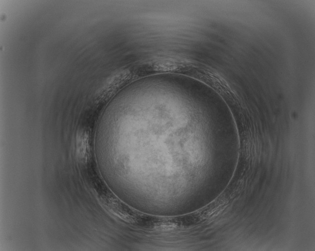 X0000066940598200603311419