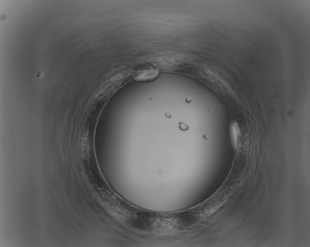 X0000066940599200603311419