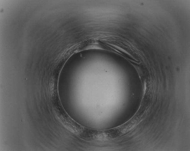 X0000066940600200603311419