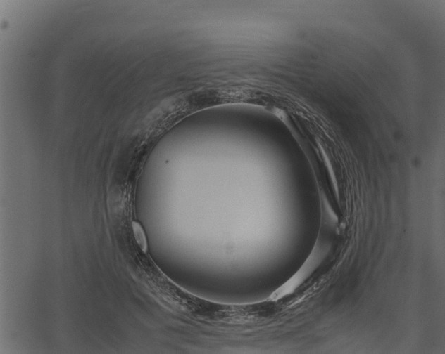 X0000066940601200603311419