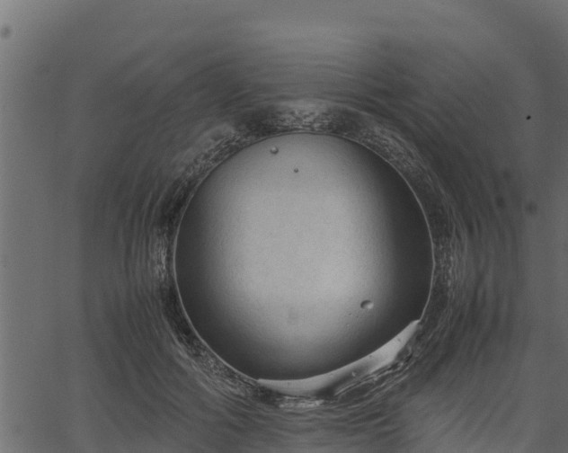 X0000066940602200603311419