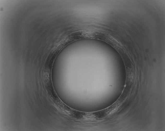 X0000066940603200603311419