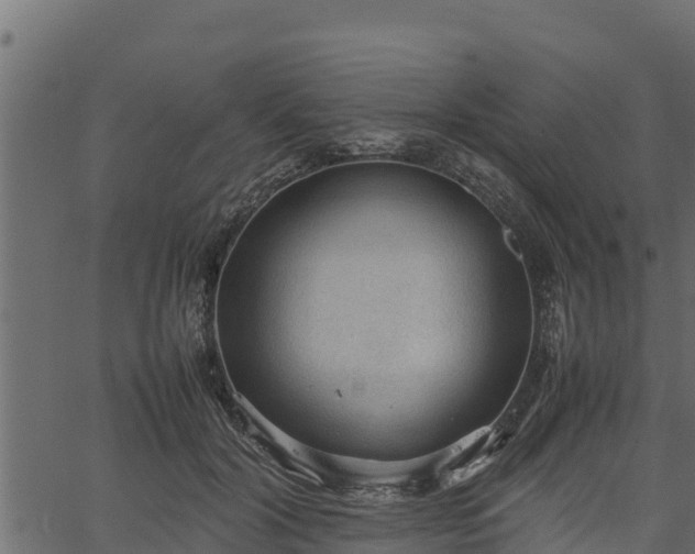 X0000066940604200603311419