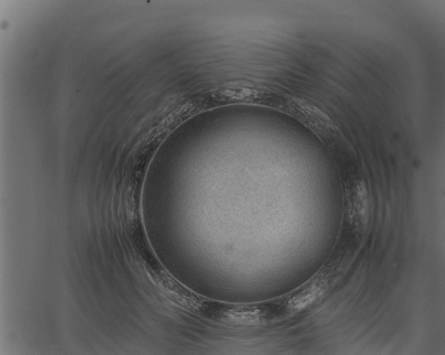 X0000066940606200603311419