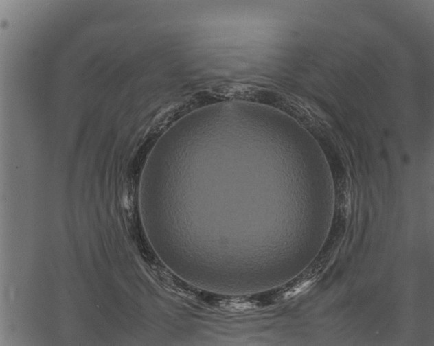 X0000066940607200603311419