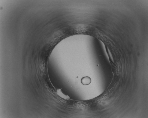 X0000066940608200603311419